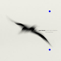 Yann Tiersen - Rathlin from a Distance | The Liquid Hour - 2CD