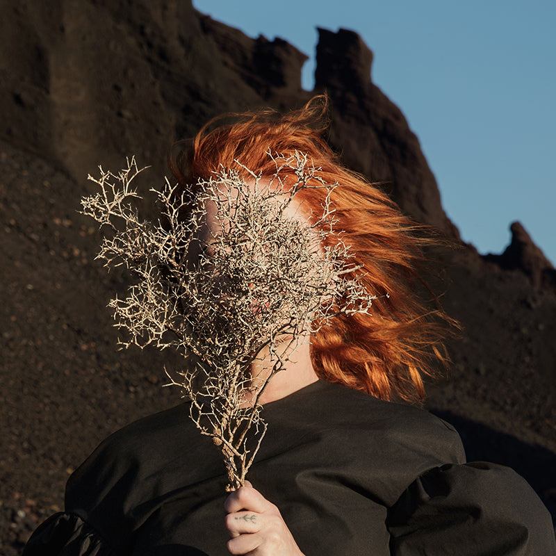 Goldfrapp - Silver Eye - Vinyl - Misc