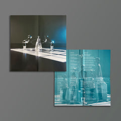 Miss Grit - Follow The Cyborg - CD