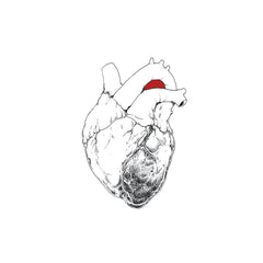 Swans - The Beggar - 2CD
