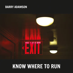 Barry Adamson - Stranger On The Sofa + Back To The Cat + Steal Away Colour Vinyl Bundle + Signed Art Card Set