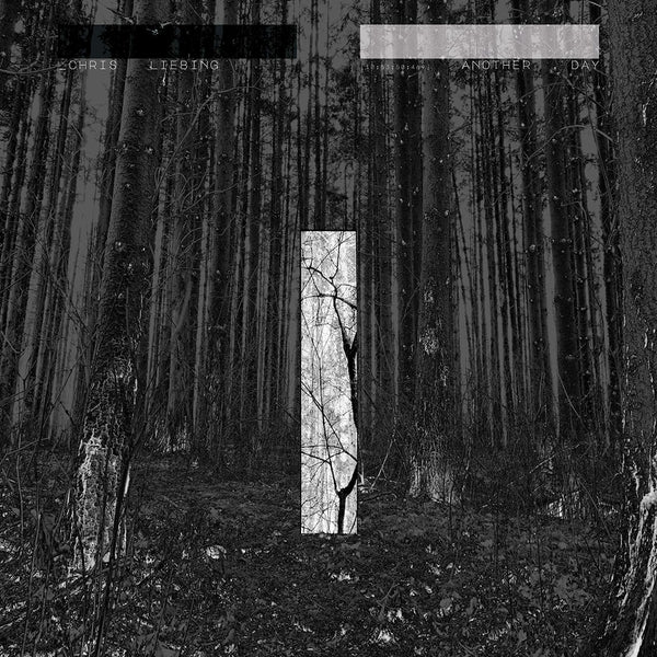 Chris Liebing - Another Day - CD
