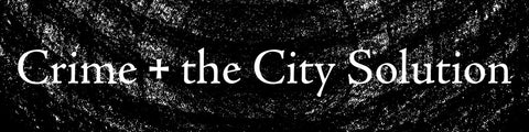 Crime & The City Solution