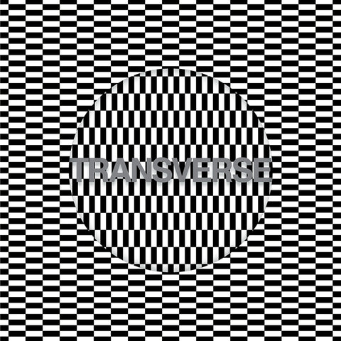 Carter Tutti Void - Transverse - Vinyl - Misc