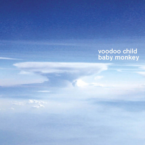 Voodoo Child - Baby Monkey - CD - Misc