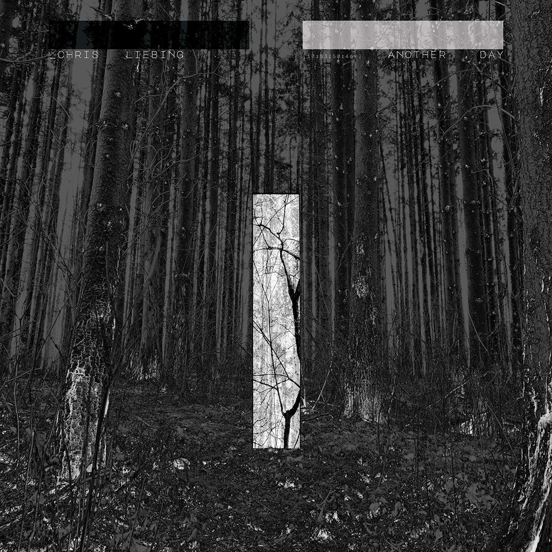 Chris Liebing - Another Day - CD