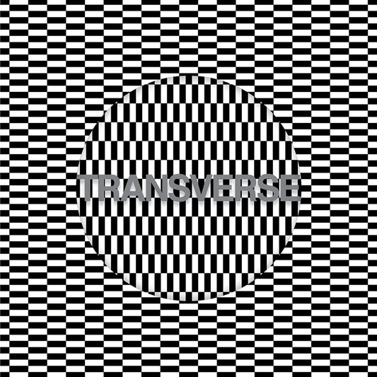 Carter Tutti Void - Transverse - CD - Misc